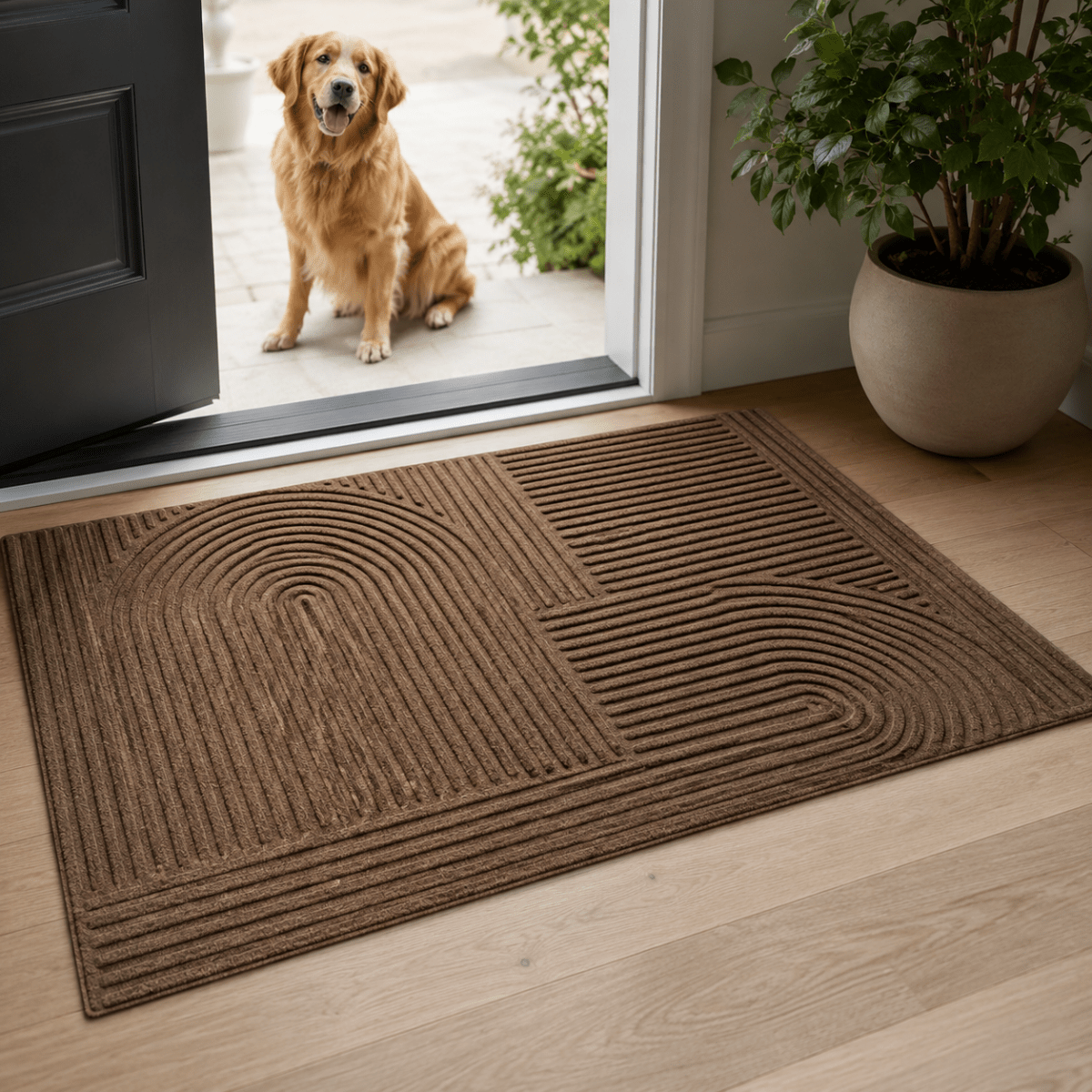 Door Mats Indoor, Non Slip Mat for Entrance and Hallway – image 5