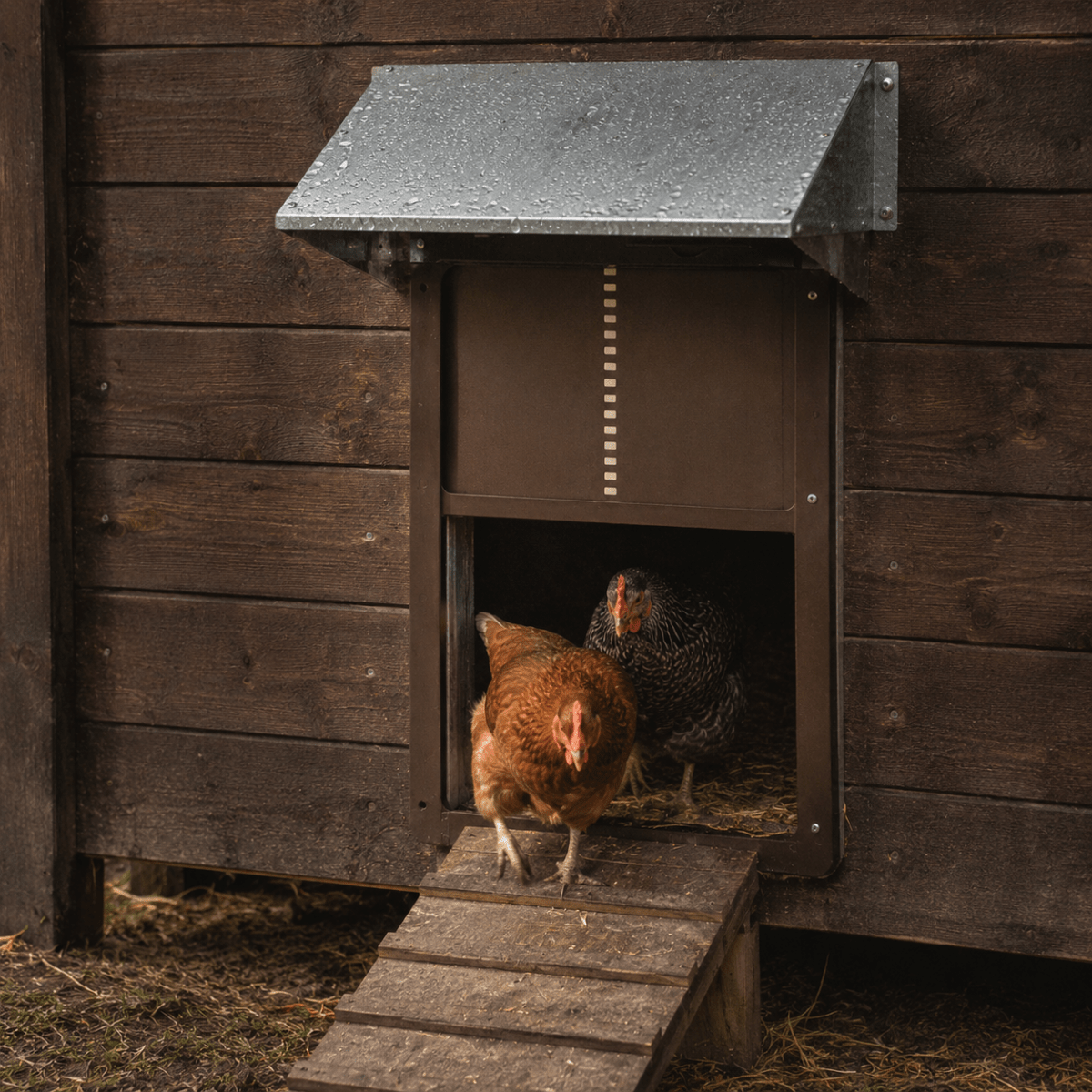 Automatic Chicken Coop Door with Light Sensor, Automatic Chicken Door Opener, Weatherproof Chicken Coop Accessories_05