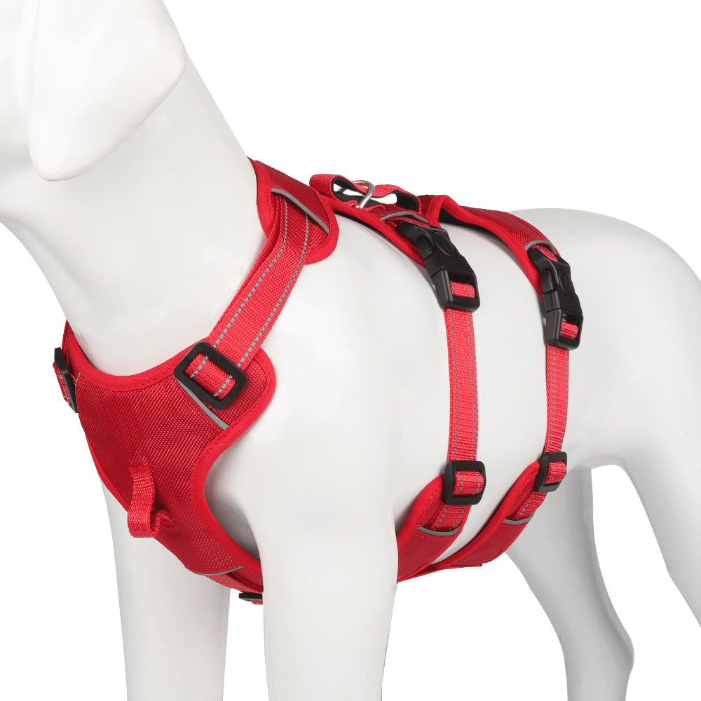 Reflective Front Clip Dog Harness with Padding in S to XL – image 8