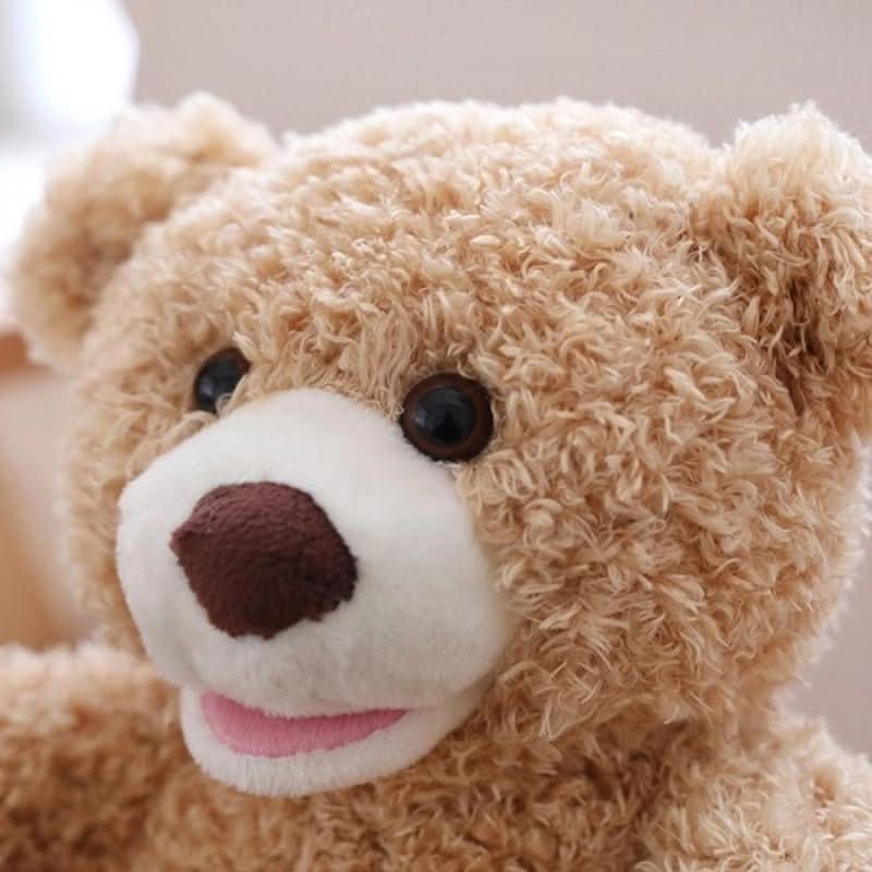 Teddy Bear Peekaboo Toy, Interactive Plush Toys – image 5