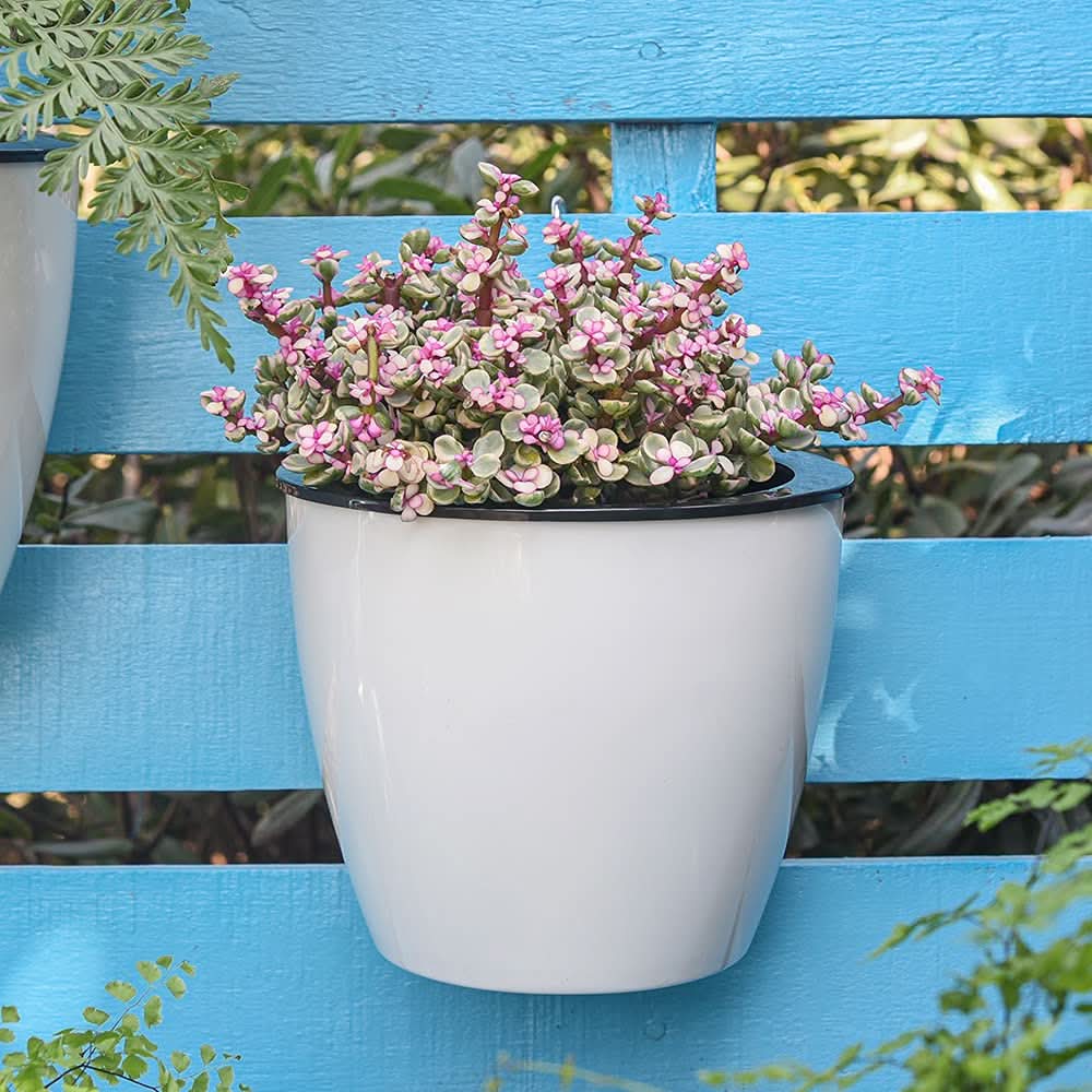 Self Watering Plant Pots, Wall Mounted Flower Pot with Bracket, Vertical Wall Planter for Indoor and Outdoor Plants_02