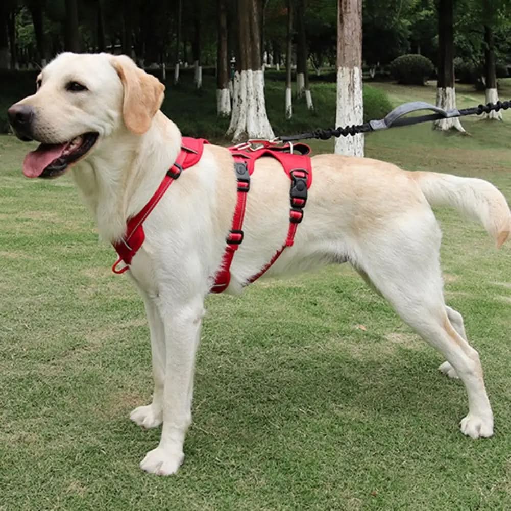 No Pull Dog Harness, Escape Proof Harness for Dogs