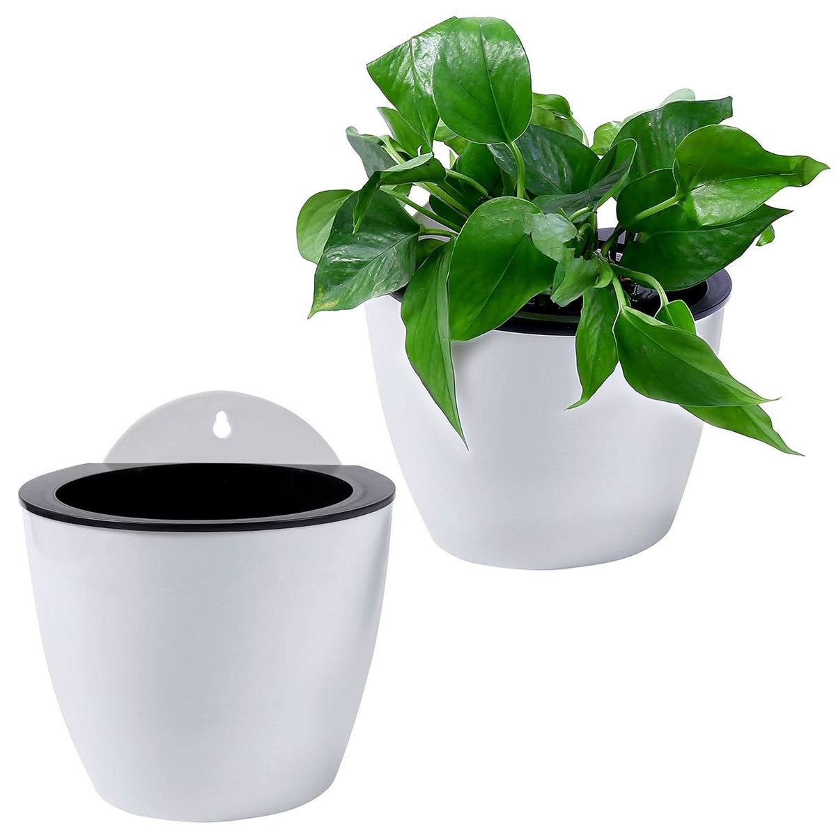 Self Watering Plant Pots, Wall Mounted Flower Pot with Bracket, Vertical Wall Planter for Indoor and Outdoor Plants_09