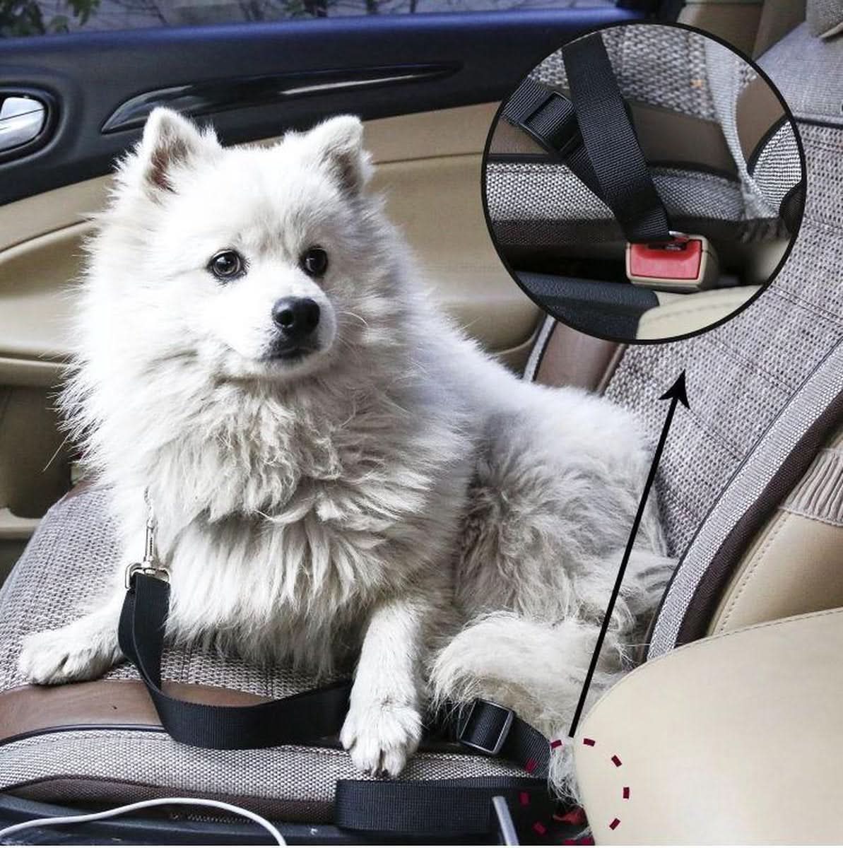 Dog Seat Belt for Car, Adjustable Dog Safety Belt with Harness Clip, Puppy Car Seat Belt, Dog Car Restraint