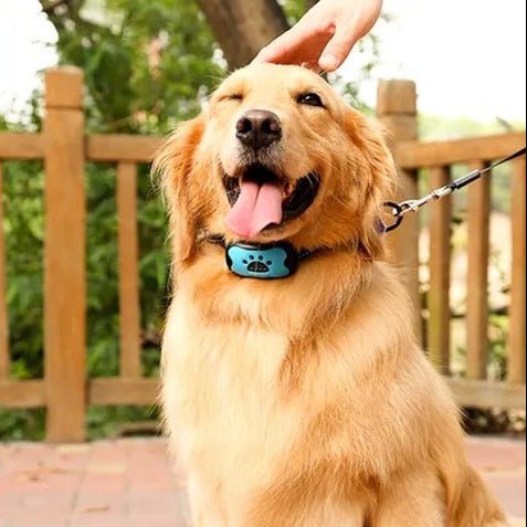 Anti Bark Dog Collar with Sound Waves, Dog Bark Collar with Voice Recognition, Adjustable Dog Training Collar 5 to 50 kg_04