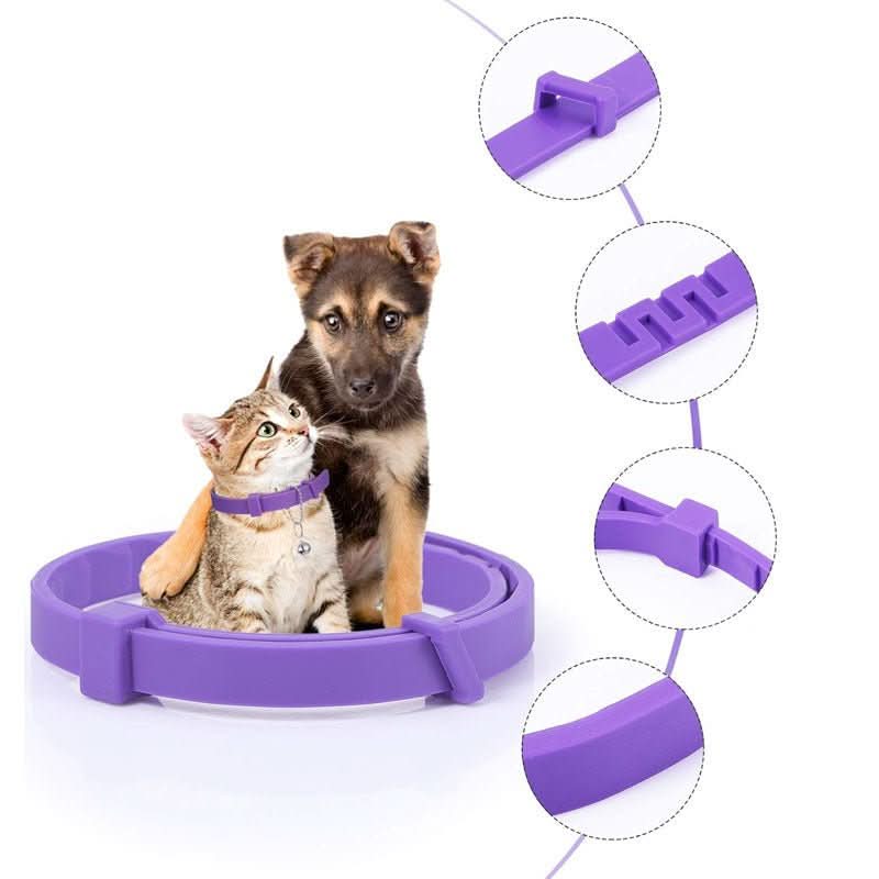 Calming Collar for Cats – image 8