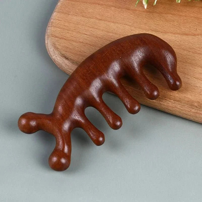 Wide Tooth Comb, Sandalwood Wooden Comb for Scalp Massage, Anti Static Hair Comb for Everyday Hair Care_00