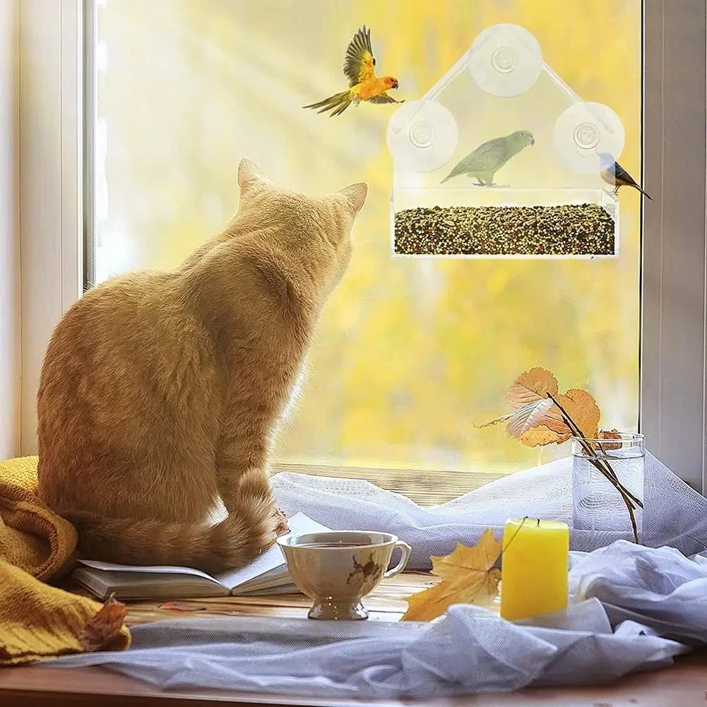 Window Bird Feeders with Strong Suction Cups, Clear Bird Feeder for Window, Weatherproof Garden Bird Feeder_01
