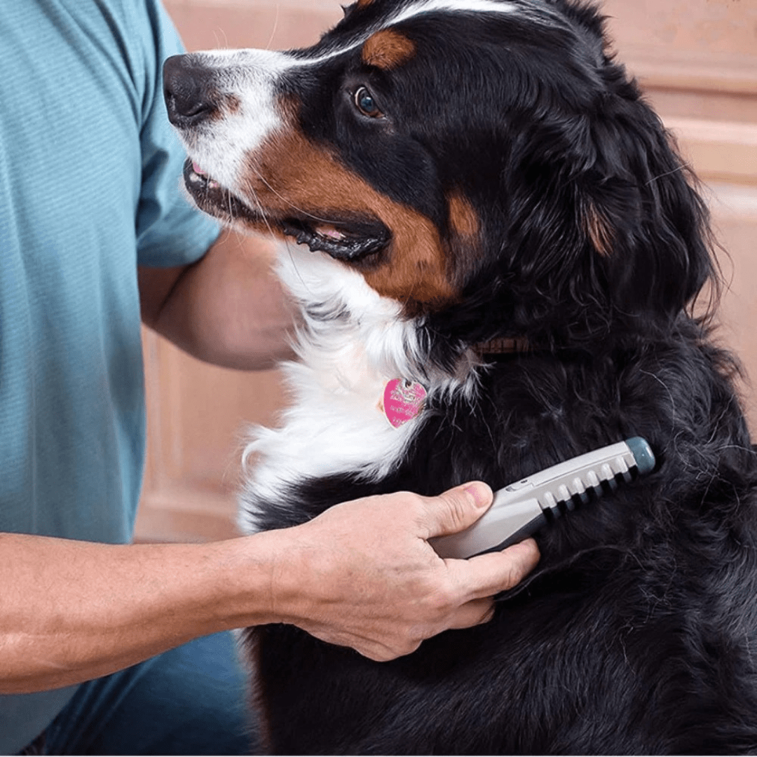 Dog Grooming Tools for Detangling, Pet Grooming Tool for Cats and Dogs