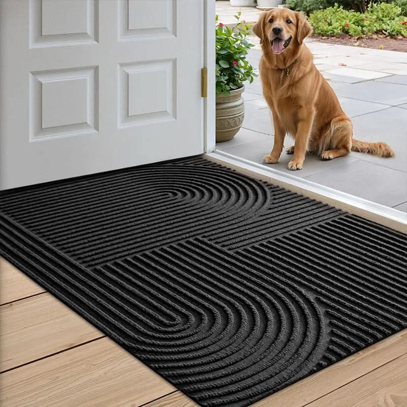 Indoor Door Mats, Non Slip Front Door Mat