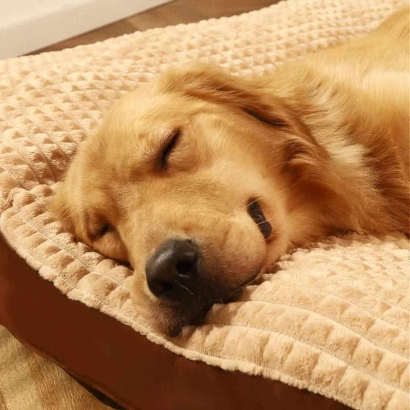 Orthopaedic Dog Bed with Removable Washable Cover, Firm Foam Dog Mattress, Dog Bed for Small to Large Dogs up to 50 kg_01