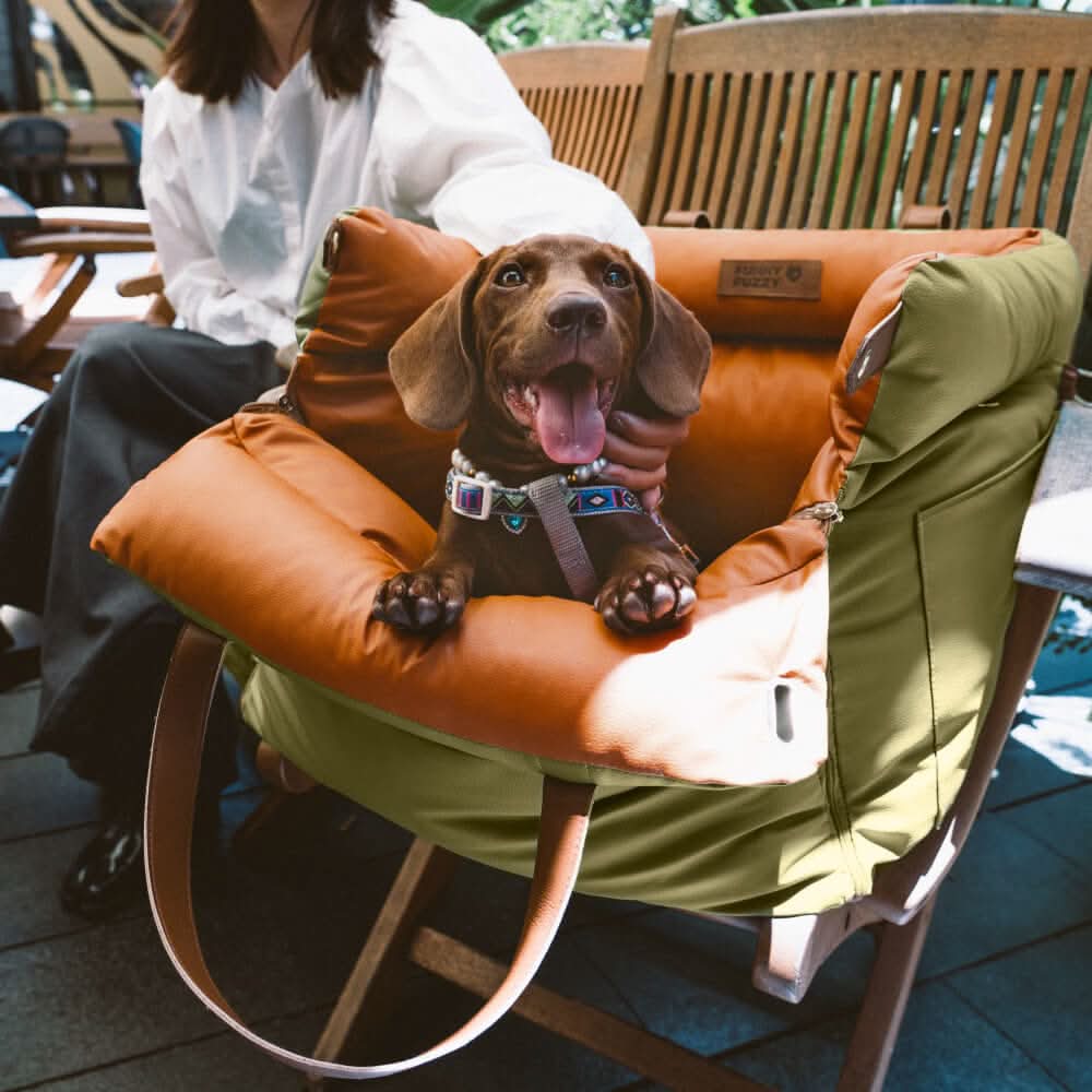 Dog Car Seat for Small and Medium Dogs, Elevated Dog Car Booster Seat with Integrated Safety Belt, Dog Car Bed_02