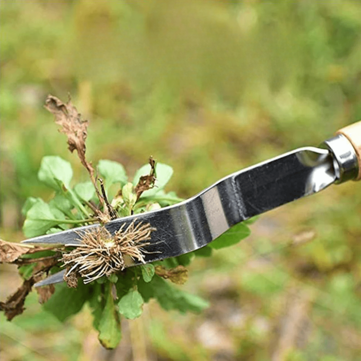 Weed Remover Tool with Ergonomic Handle, Hand Weed Puller