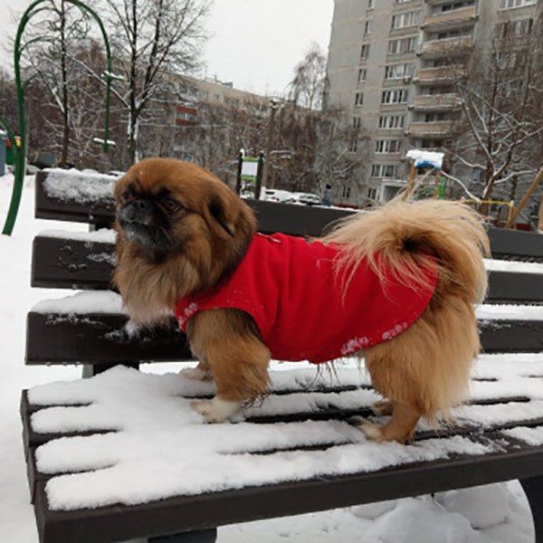 Warm Dog Vest with D Ring, Fleece Dog Coat for Small Dogs and Cats, Warm Dog Jacket_14