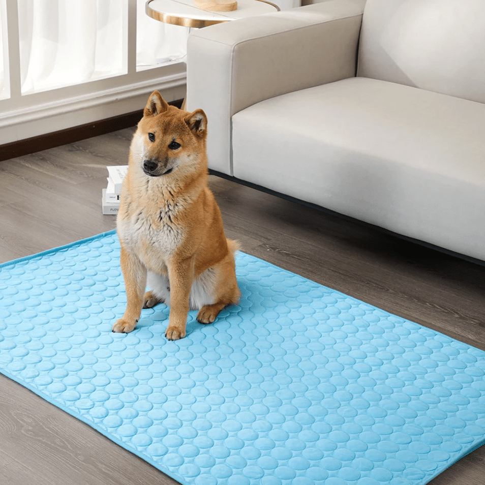DogCool | Self-Cooling Dog Mat with Pressure-Activated Gel | Comfortable Solution for Hot Days 3