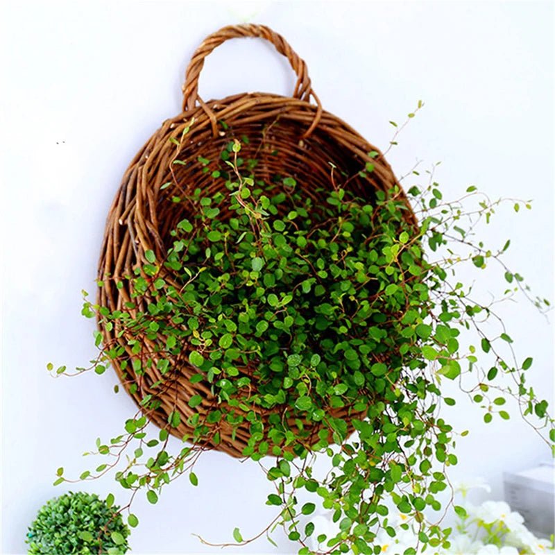 Wicker Baskets, Willow Storage Basket for Plants, Decorative Fruit Basket for Home_05