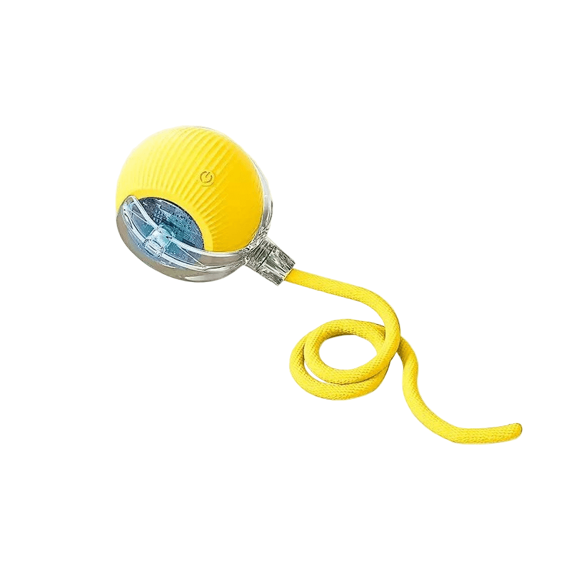 Interactive Dog Balls, Rechargeable Moving Dog Toy for Puppies, Puppy Toys, Automatic Bouncing Dog Ball_18