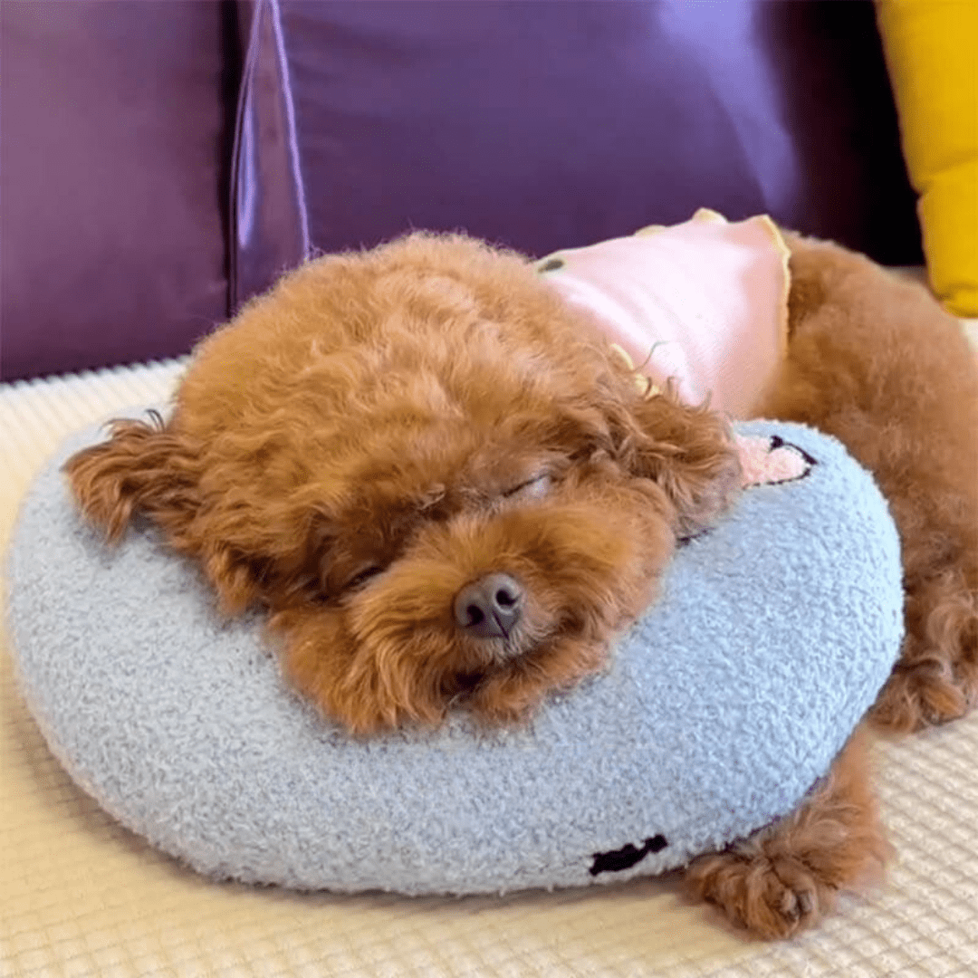 Dog Cushion with Orthopaedic Foam, Orthopaedic Dog Bed for Small to Large Dogs, Washable Dog Pillow with Plush Cover