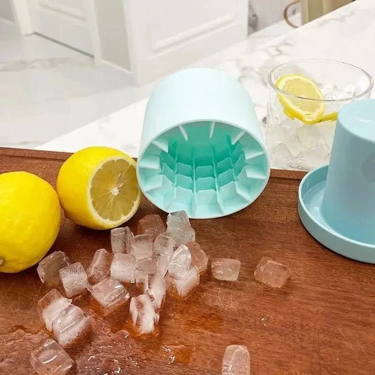 Round Ice Cube Tray with Cylindrical Moulds