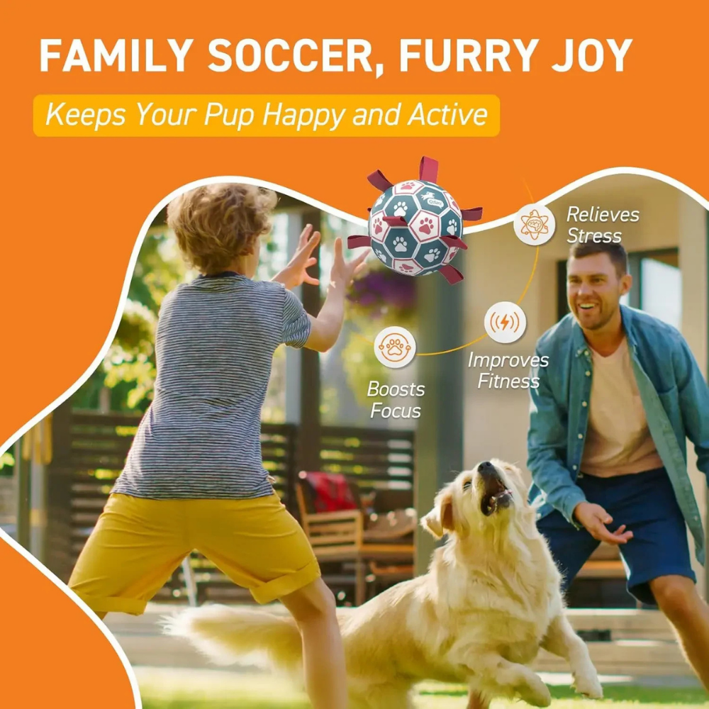 Interactive Dog Toy | Durable Soccer Ball with Rope Grip for Outdoor Fun 2