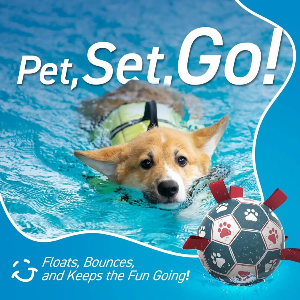 Interactive Dog Toy | Durable Soccer Ball with Rope Grip for Outdoor Fun 3
