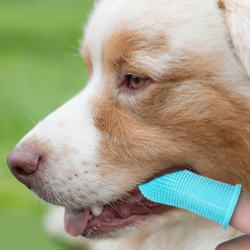 Dog Finger Toothbrush with 360 Degree Bristles, Silicone Dog Teeth Cleaner