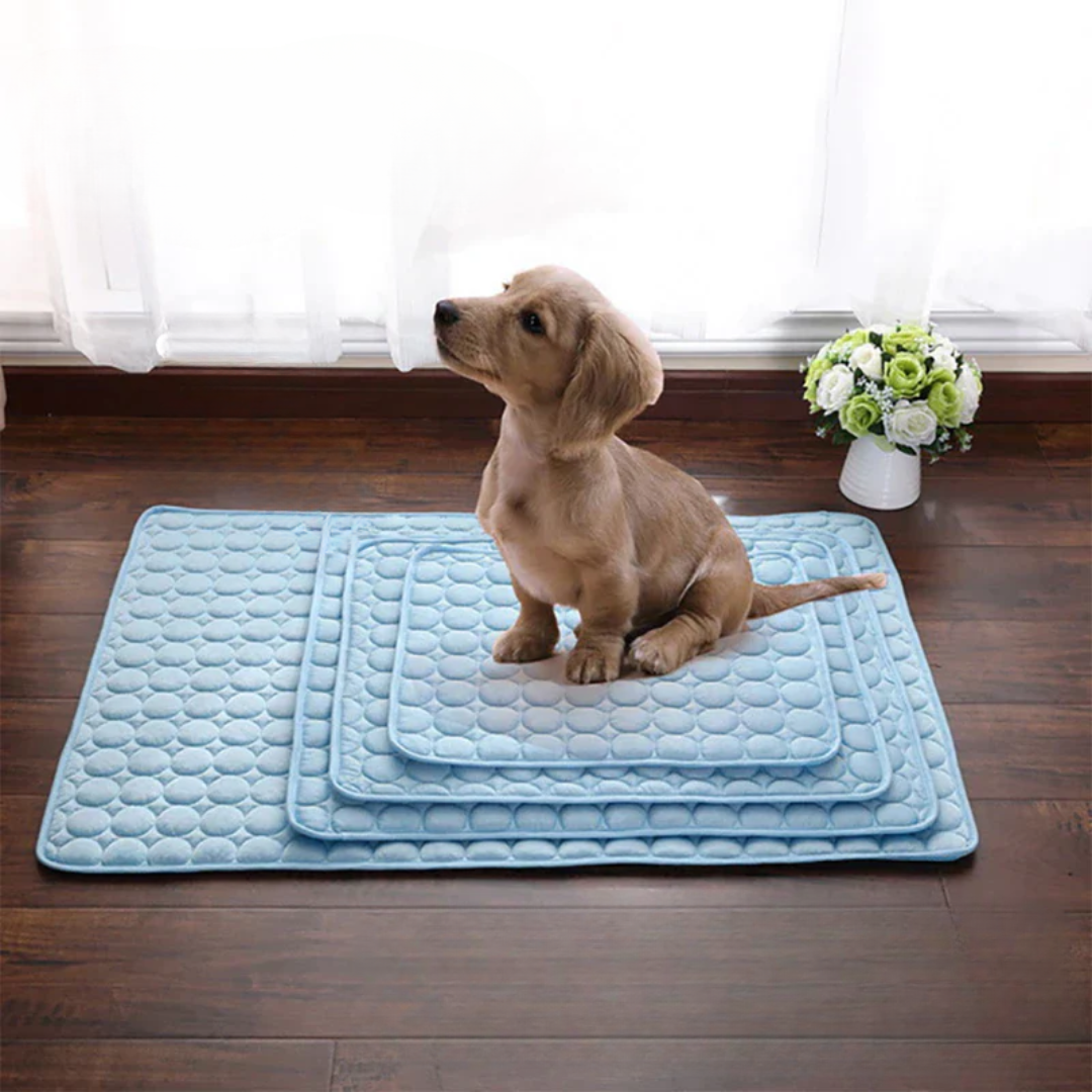 Pet Comfort | Cooling Dog Mat with Pressure-Activated Gel for Summer Relief 1