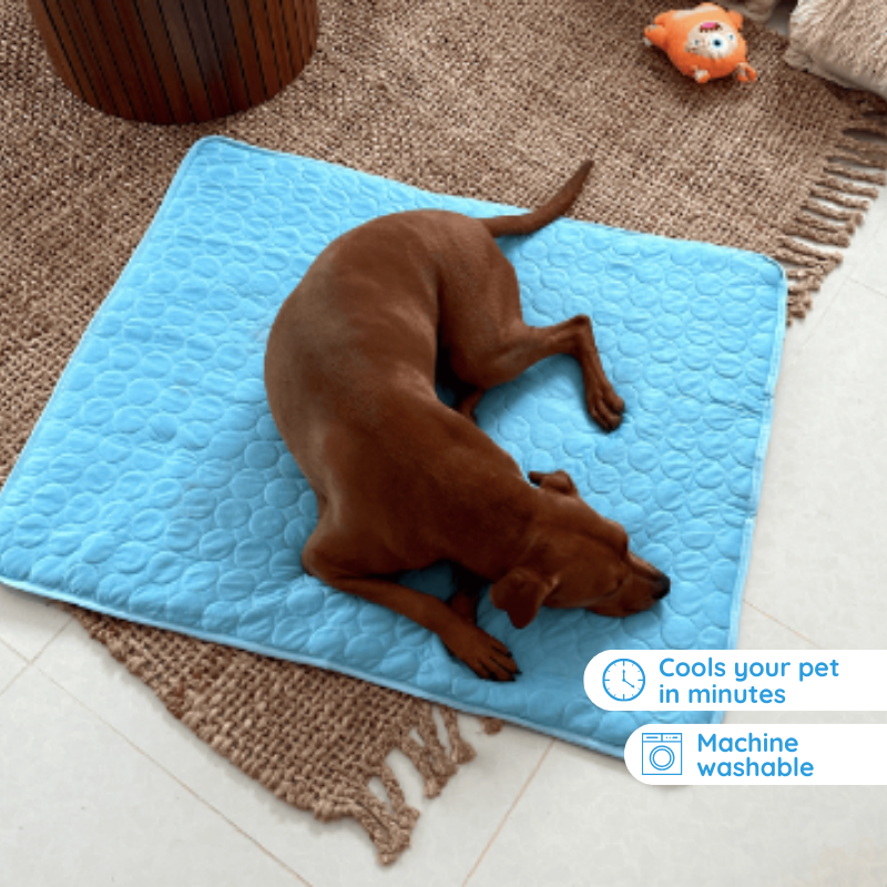 Pet Comfort | Dog Cooling Mat with Self-Cooling Technology | Ideal for Temperature Regulation 3