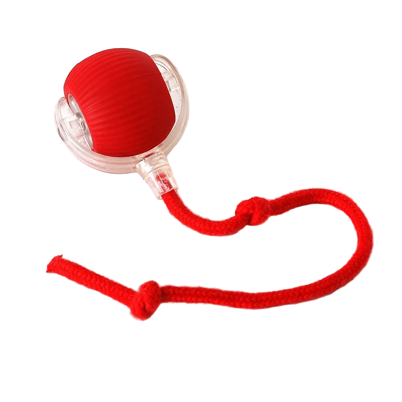 Interactive Dog Balls, Rechargeable Moving Dog Toy for Puppies, Puppy Toys, Automatic Bouncing Dog Ball_17