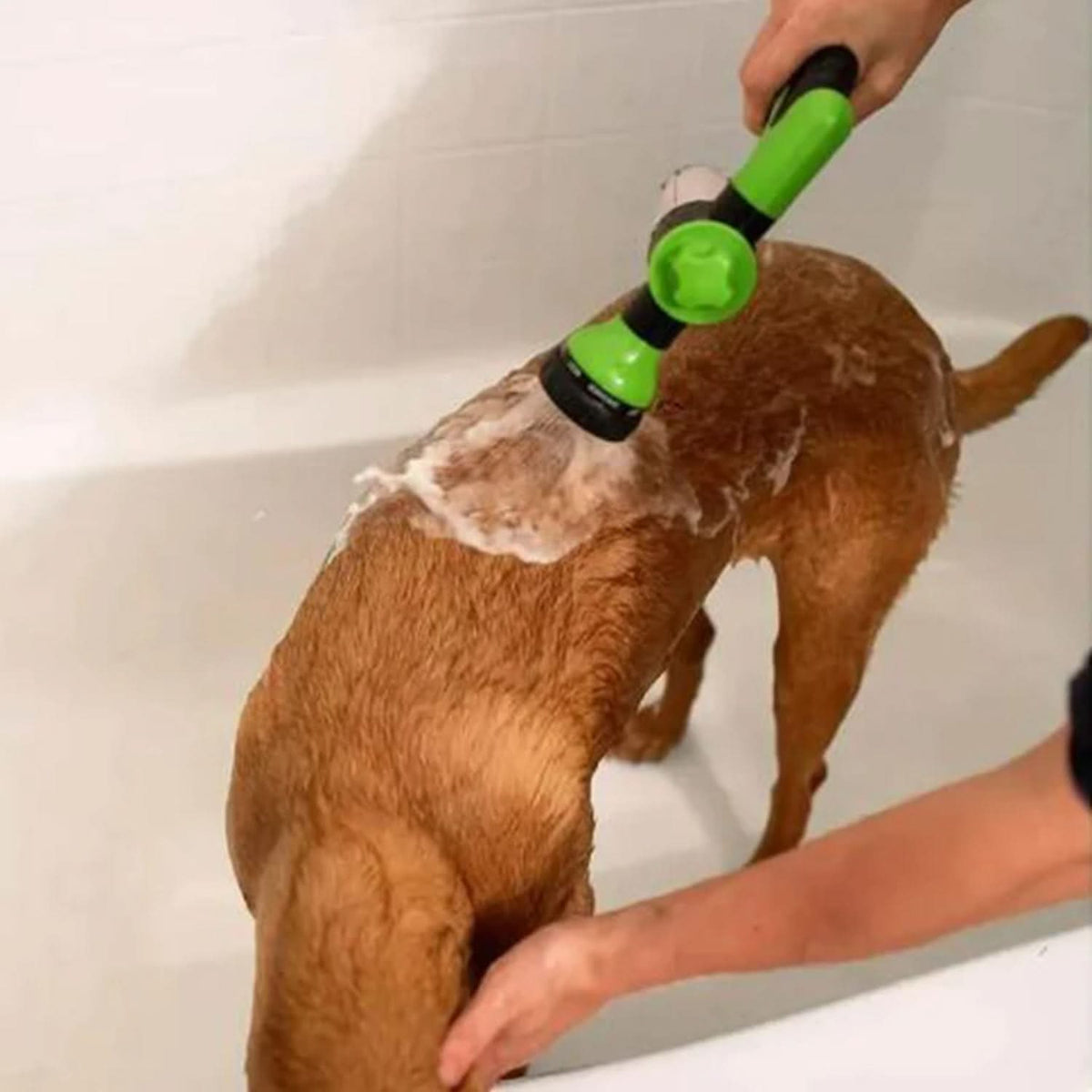 Pet Bath Sprayer, Dog Shower with 360 Spray Head and 3 Foam Levels, Dog Wash Sprayer for Bathing Dogs, Dog Bath_06