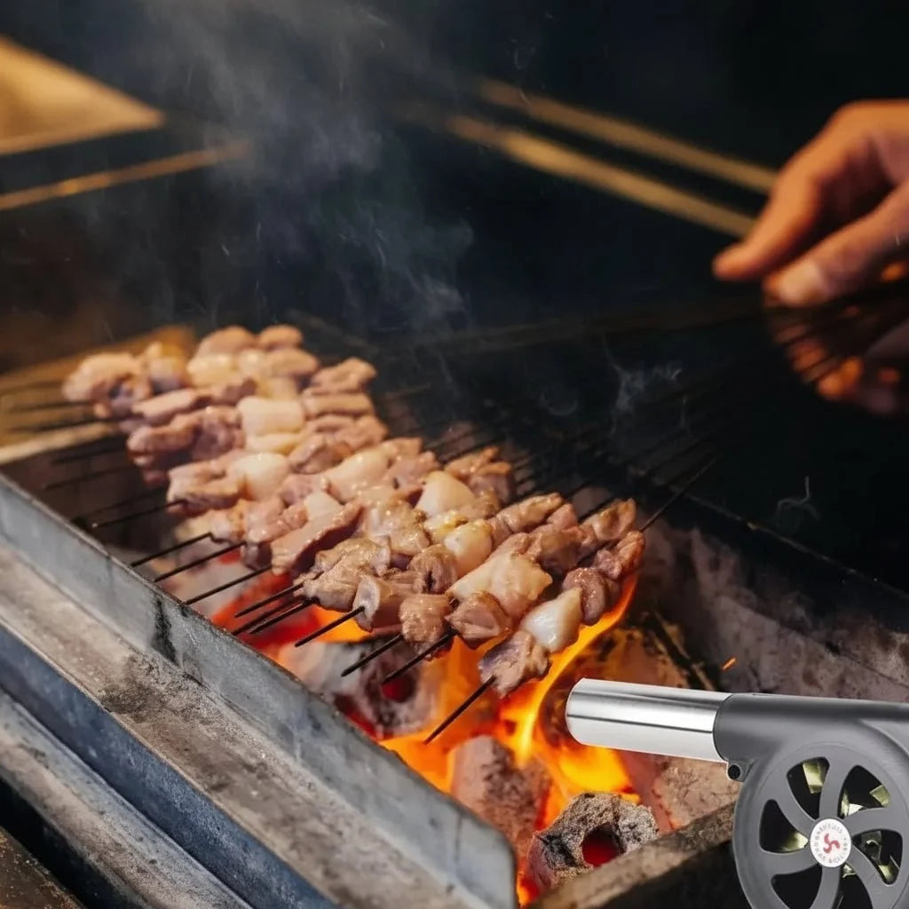 BBQ Hand Blower for Lighting Charcoal, Portable Fire Fan for Barbecue and Camping