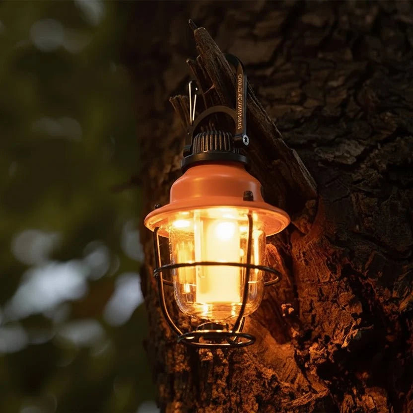 Outdoor Lights, Outdoor LED Lamp with Lockable Peg, Portable Camping Light, Garden Light for Balcony and Patio_01