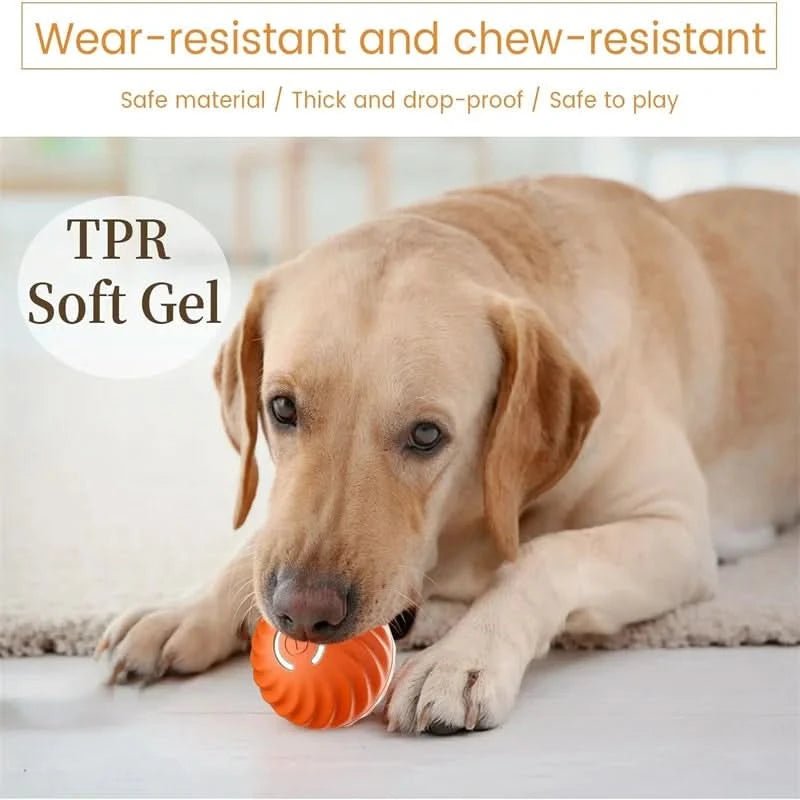 Interactive Dog Balls, Rechargeable Moving Dog Toy for Puppies, Puppy Toys, Automatic Bouncing Dog Ball_21