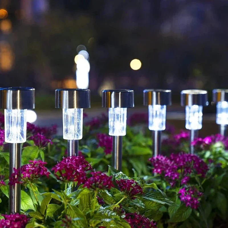 Solar Garden Lights 8 to 20 Pack, LED Garden Lighting IP65