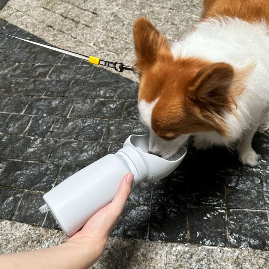 Foldable Dog Water Bottle – image 7