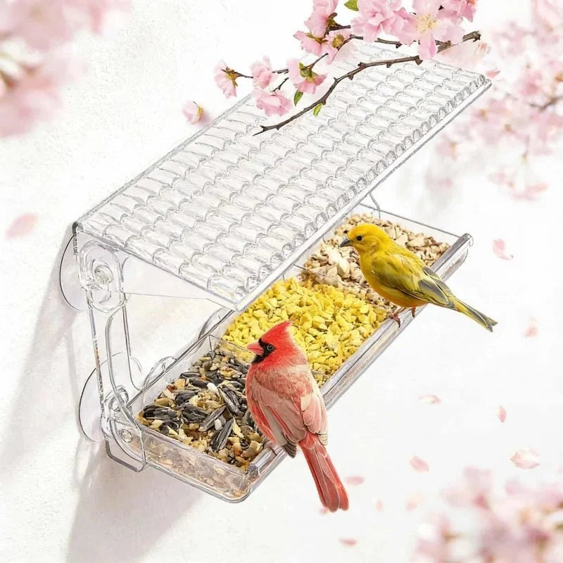 Window Bird Feeders, Small Bird Feeder for Wild Birds – image 5