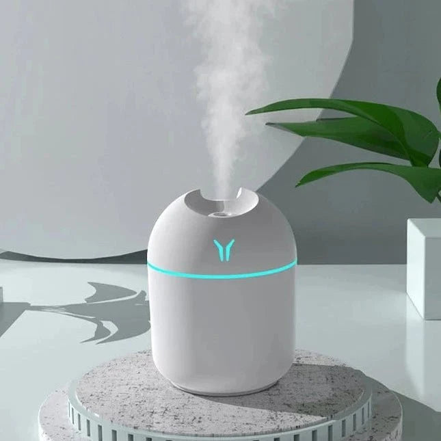 Humidifiers, Mini Air Humidifier with Aromatherapy Function, Bedroom Humidifier 250 ml, USB Car Humidifier for Office