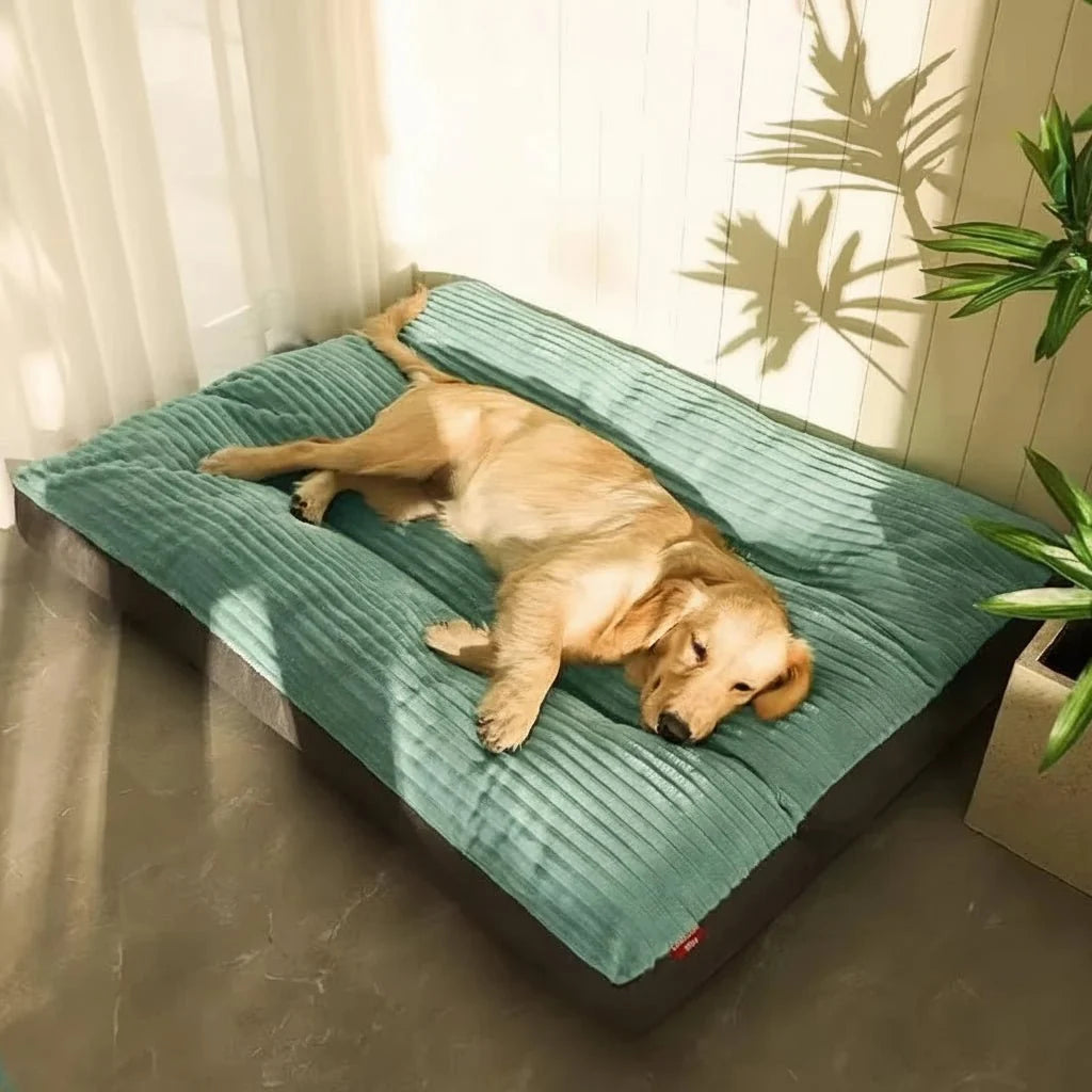 Orthopaedic Dog Beds, Extra Large Dog Bed with Plush Cover, Pet Bed for Puppies and Senior Dogs