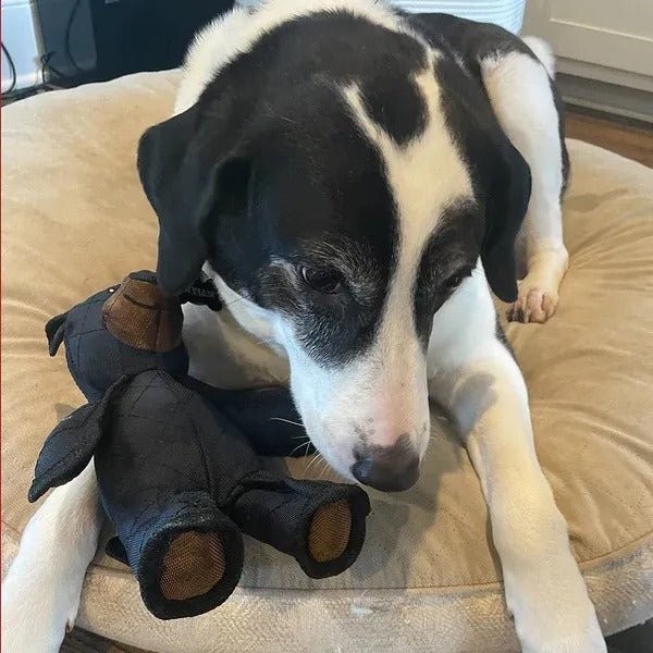 Interactive Dog Toy for Fetch and Play – image 5