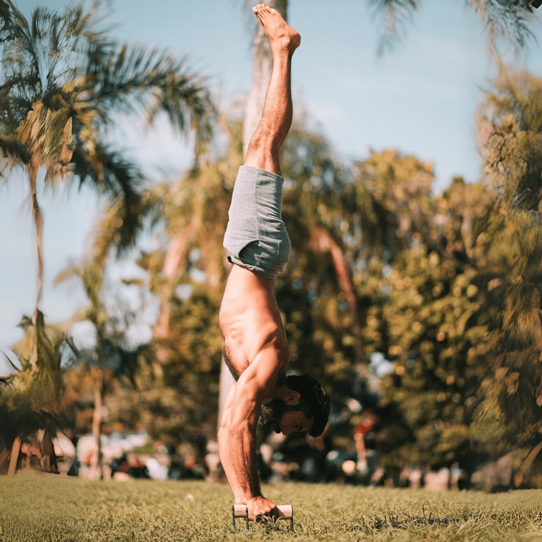 Wooden Parallettes with Steel Core, Calisthenics Bars, Parallette Bars for Push Ups and Dips, Calisthenics Equipment_01