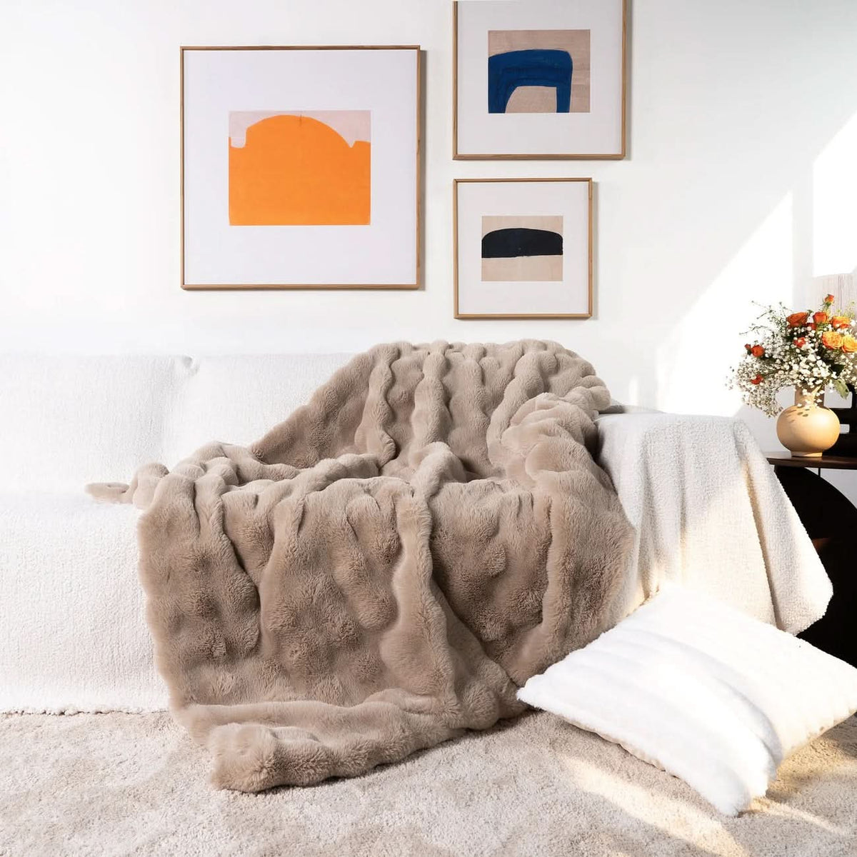 Throw Blankets, Faux Fur Throw for Sofa, Soft Bed Throw, Double Layer Sofa Blanket for Winter_00