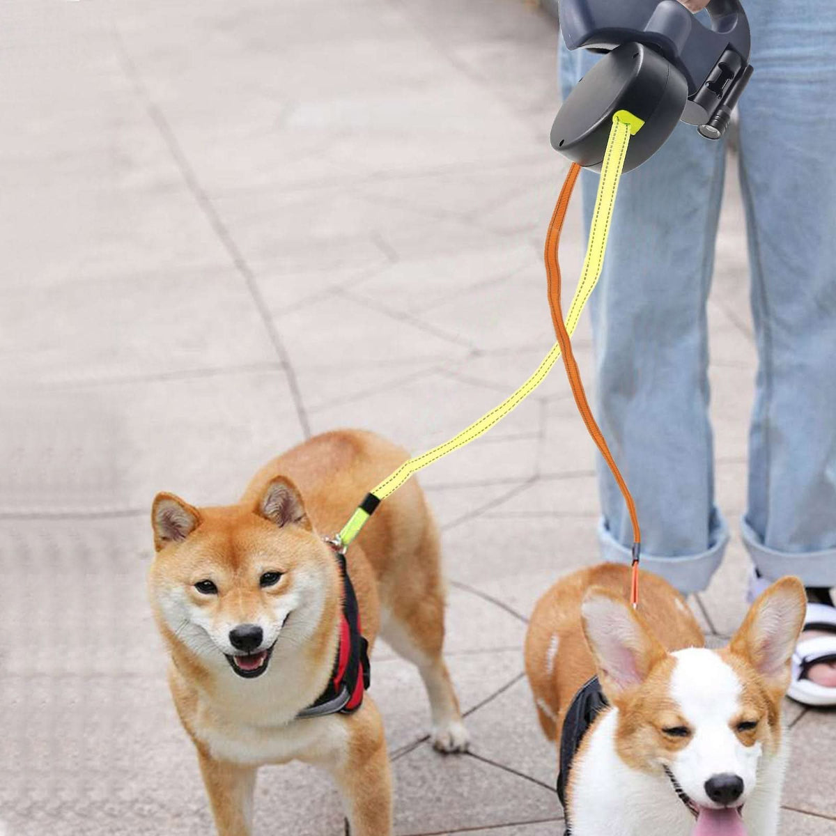 Retractable Dog Lead for Two Dogs with Torch, Double Dog Lead 2 x 3 m, Extendable Dog Lead with Separate Brakes_02