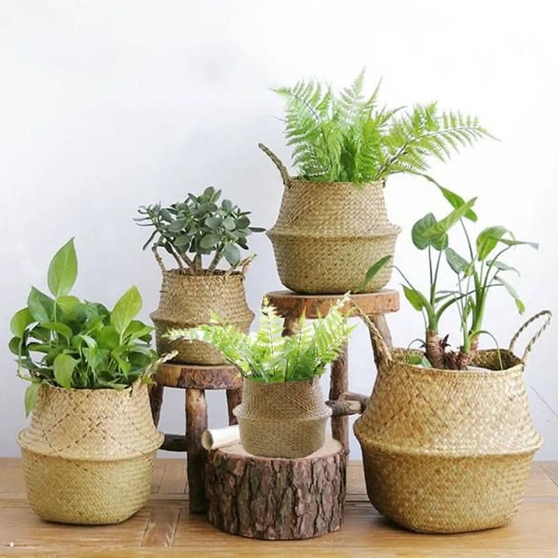 Wicker Baskets for Storage, Round Storage Baskets