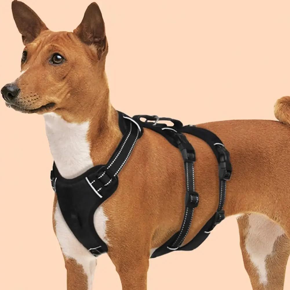 No Pull Dog Harness, Reflective Front Clip Dog Harness with Padding in S to XL