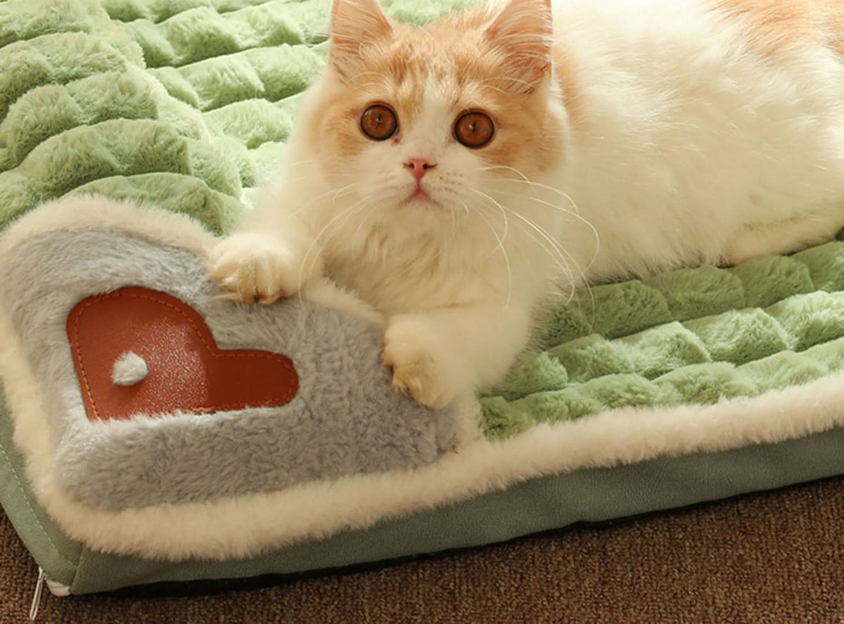 Dog Bed for Small Dogs, Washable Dog Bed with Removable Cover, Plush Medium Dog Bed with Non Slip Base_03