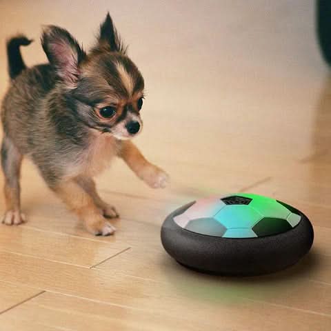 Moving Ball for Dogs with Random Jumps – image 5