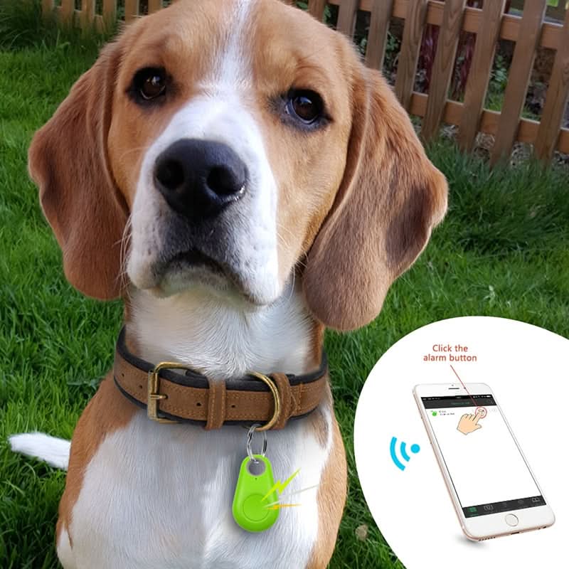 GPS Tracker for Dogs and Cats, Rechargeable Pet Tracker with App