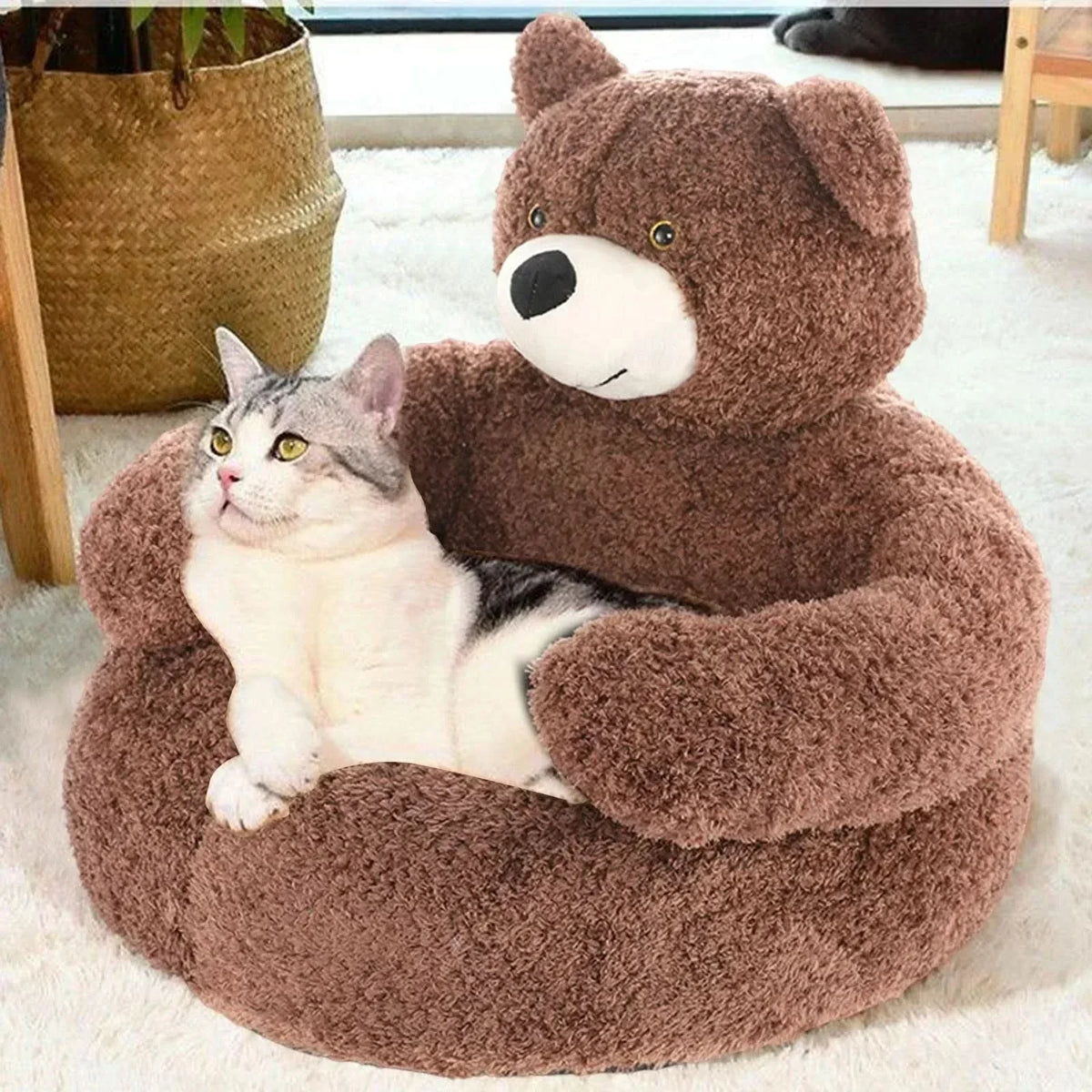 Round Cat Beds with Raised Edge – image 6