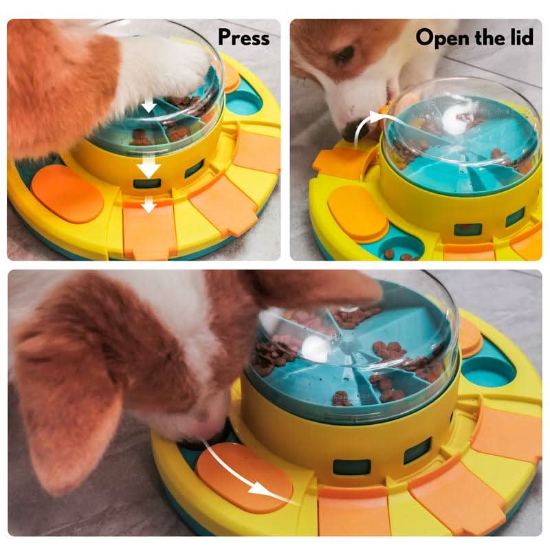 Slow Feeder Dog Bowl, Slow Feeding Bowl for Dogs