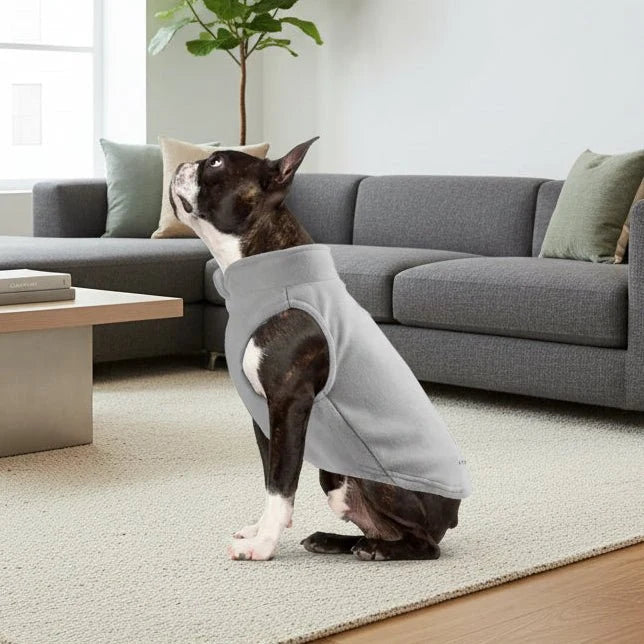 Warm Dog Vest with D Ring, Fleece Dog Coat for Small Dogs and Cats, Warm Dog Jacket_00